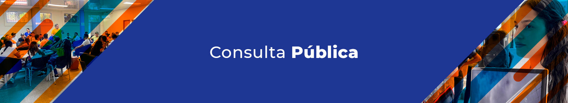 consulta-publica