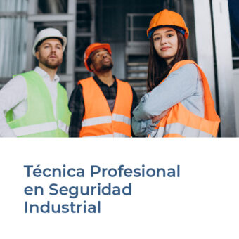 Técnica profesional en seguridad industrial