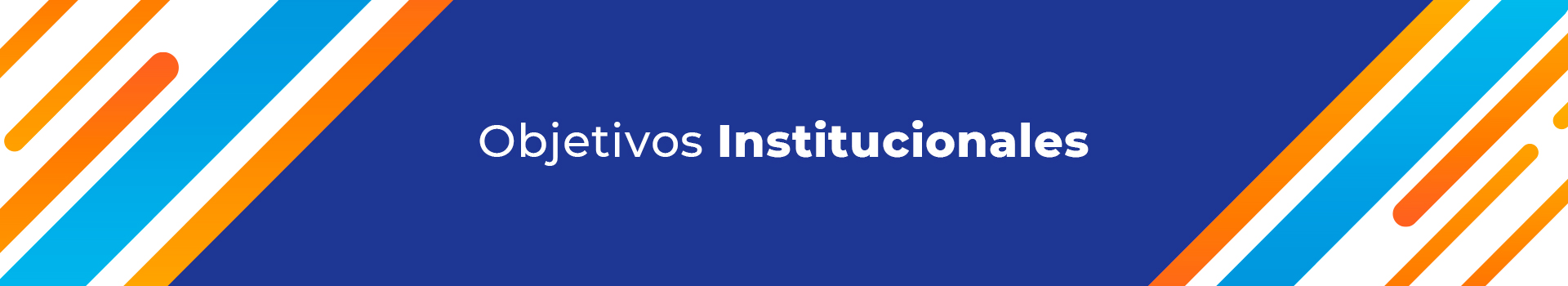 Objetivos-Institucionales
