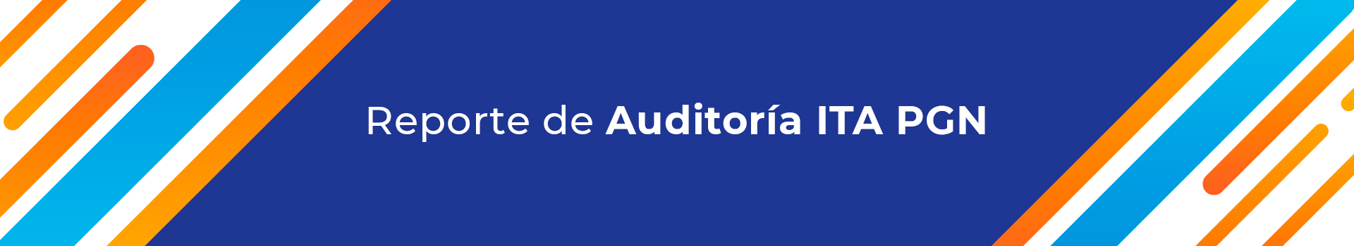 reporte-auditoria